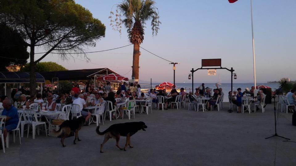 Hotel Fiesta Beach 디딤 외부 사진